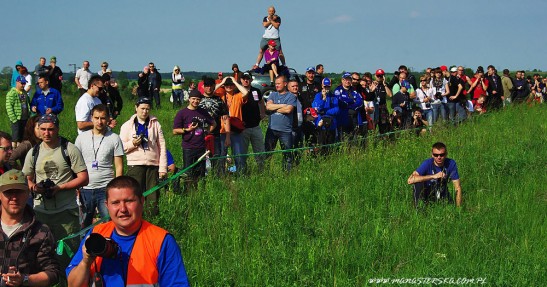 Rajd Polski